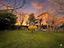 Immagine 19