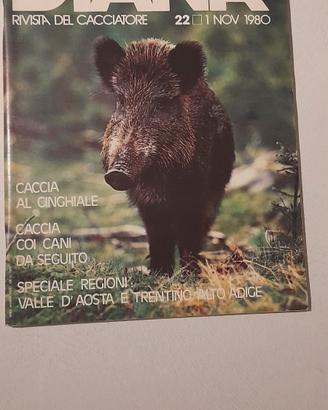 Rivista Diana n.22 del 1 novembre 1980