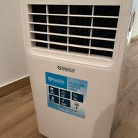 Climatizzatore portatile 8100