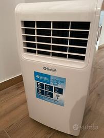 Climatizzatore portatile 8100