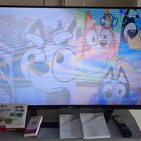 TV 47" 3D LED Full HD LG con difetto visivo