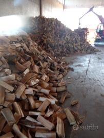 Legna da ardere secca 