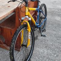 bicicletta da uomo/ragazzo 