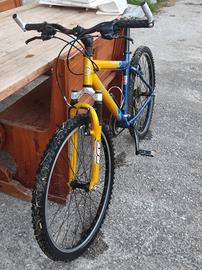 bicicletta da uomo/ragazzo 