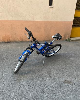 Bicicletta Coppi