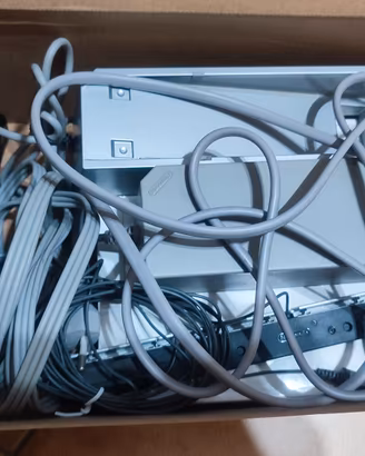 Nintendo Wii
