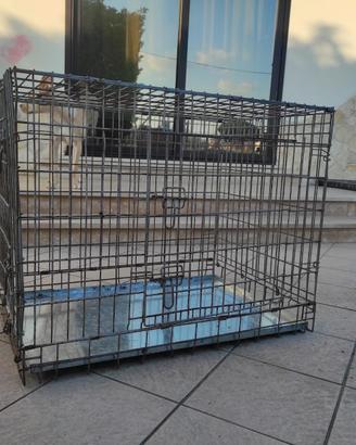 Trasportino per cani 