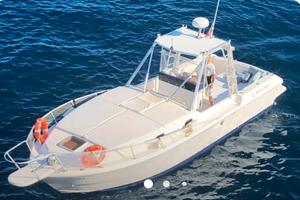 Mochi Craft 31", TOP CHARTER