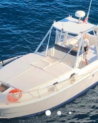 Mochi Craft 31", TOP CHARTER