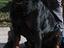 Immagine 5