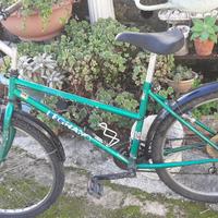 Bicicletta uomo telaio 26