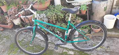 Bicicletta uomo telaio 26