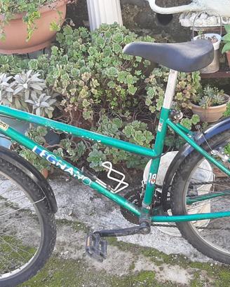 Bicicletta uomo telaio 26