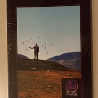 Pink Floyd Definitive Delicate Sound of Thunder