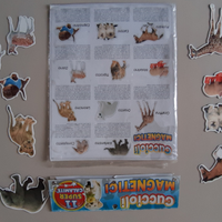 Cuccioli magnetici e gioco Trovami