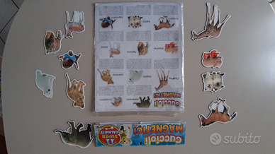 Cuccioli magnetici e gioco Trovami