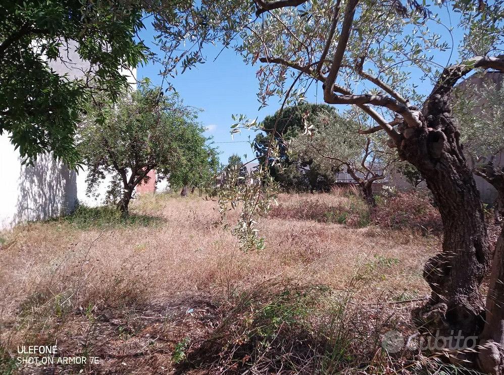 Terreno edificabile stradale scoglitti - Vista 3
