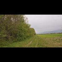 Taglio siepe campestre