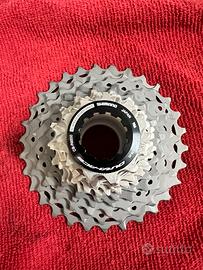 Pacco pignone durace