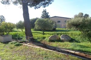 Azienda Agricola Assemini [A4344024]