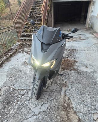 yamaha  t max 530