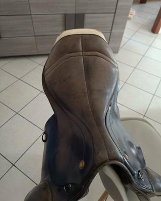 sella Prestige Appaloosa 16.5