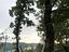 Immagine 26
