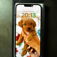 Iphone 13 promax 256gb blue sierra