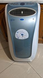 Carrier Igloo Condizionatore deumidificatore clima
