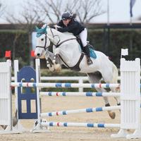 Cavallo italiano