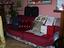 Immagine 1