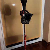 Punching ball Carnielli + paio guantoni Everlast