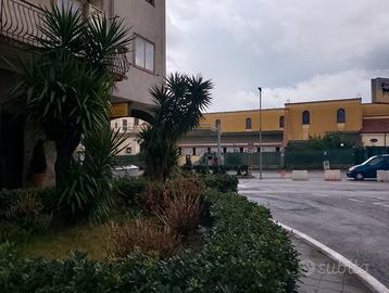 Sottotetto in zona centrale