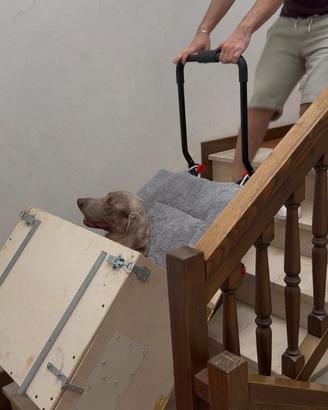 Carrello saliscale elettrico con cingoli