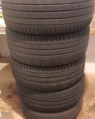 5 gomme estive
