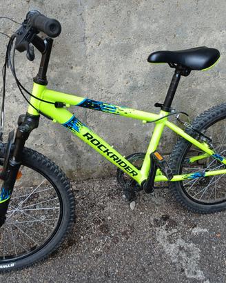 BICICLETTA 20 POLLICI VERDE 