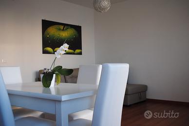 Sottomarina bilocali fronte mare