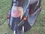 Immagine 3