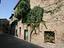 Immagine 8