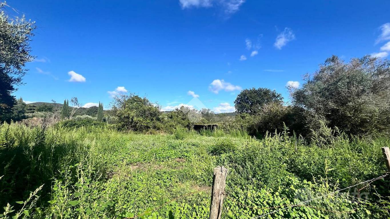 TER. RESIDENZIALE A TREVIGNANO ROMANO - Vista 2