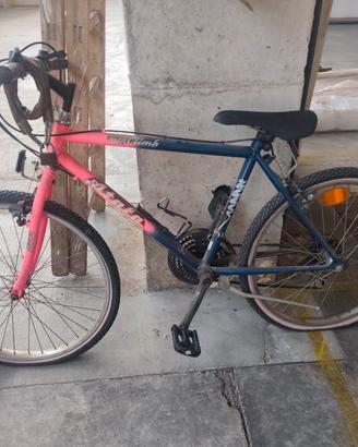 bici ragazzo/a