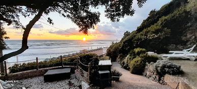 Castiglioncello-La Rosamare primavera/estate 2026