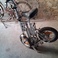 Bicicletta pieghevole Gekko