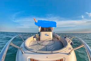 Open marino 20 + selva 115cv