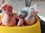 Immagine 1