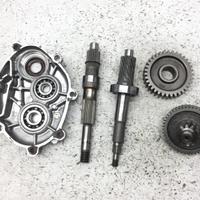 CARTER E INGRANAGGI RUOTA POSTERIORE YAMAHA XENTER
