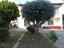 Immagine 13