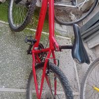 bicicletta misura 24 