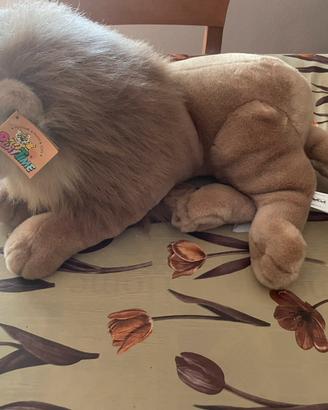 Leoncino