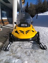 Motoslitta